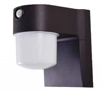Security light